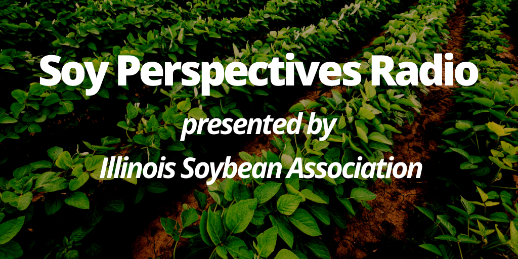 Risk Management Strategies for Soybean Growers
