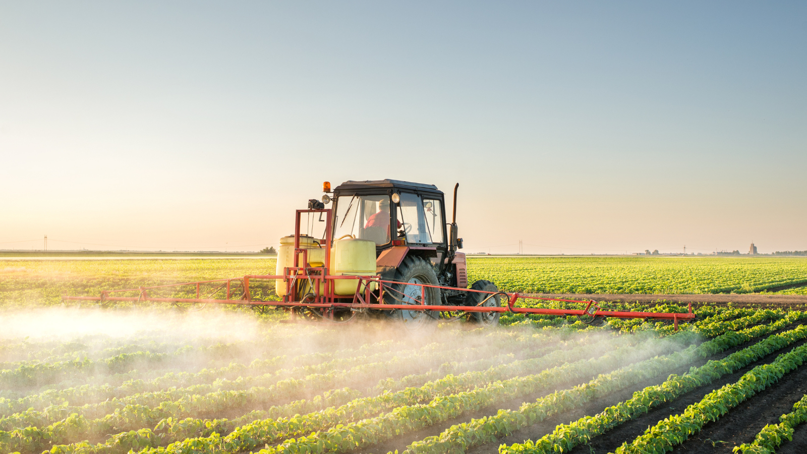 Rise of the Anti-Pesticide Petitions