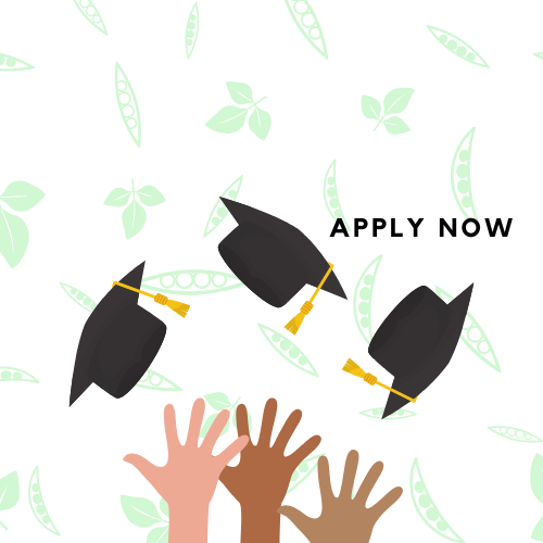 Apply for Soy Scholarship 26-27